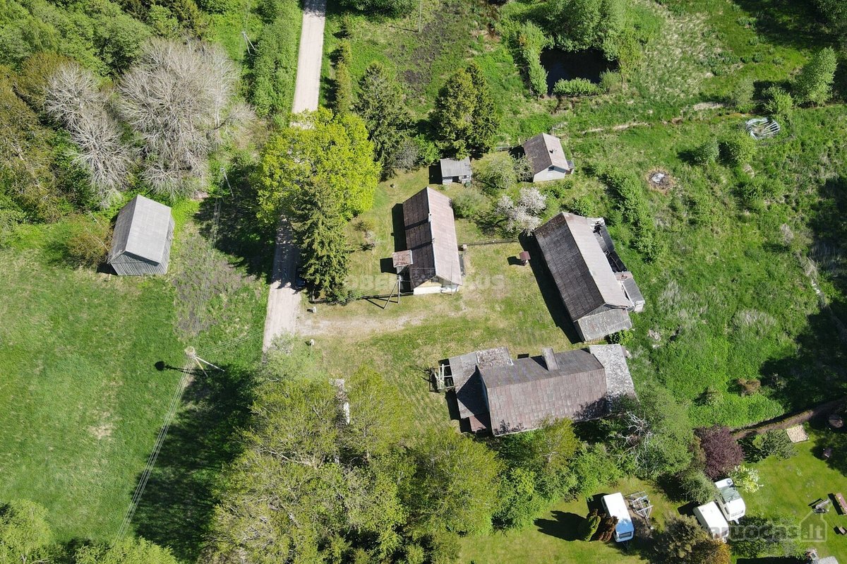 Išskirtinė Vieta Medžių Apsuptyje, 450 m Iki - nuotraukos Nr. 5