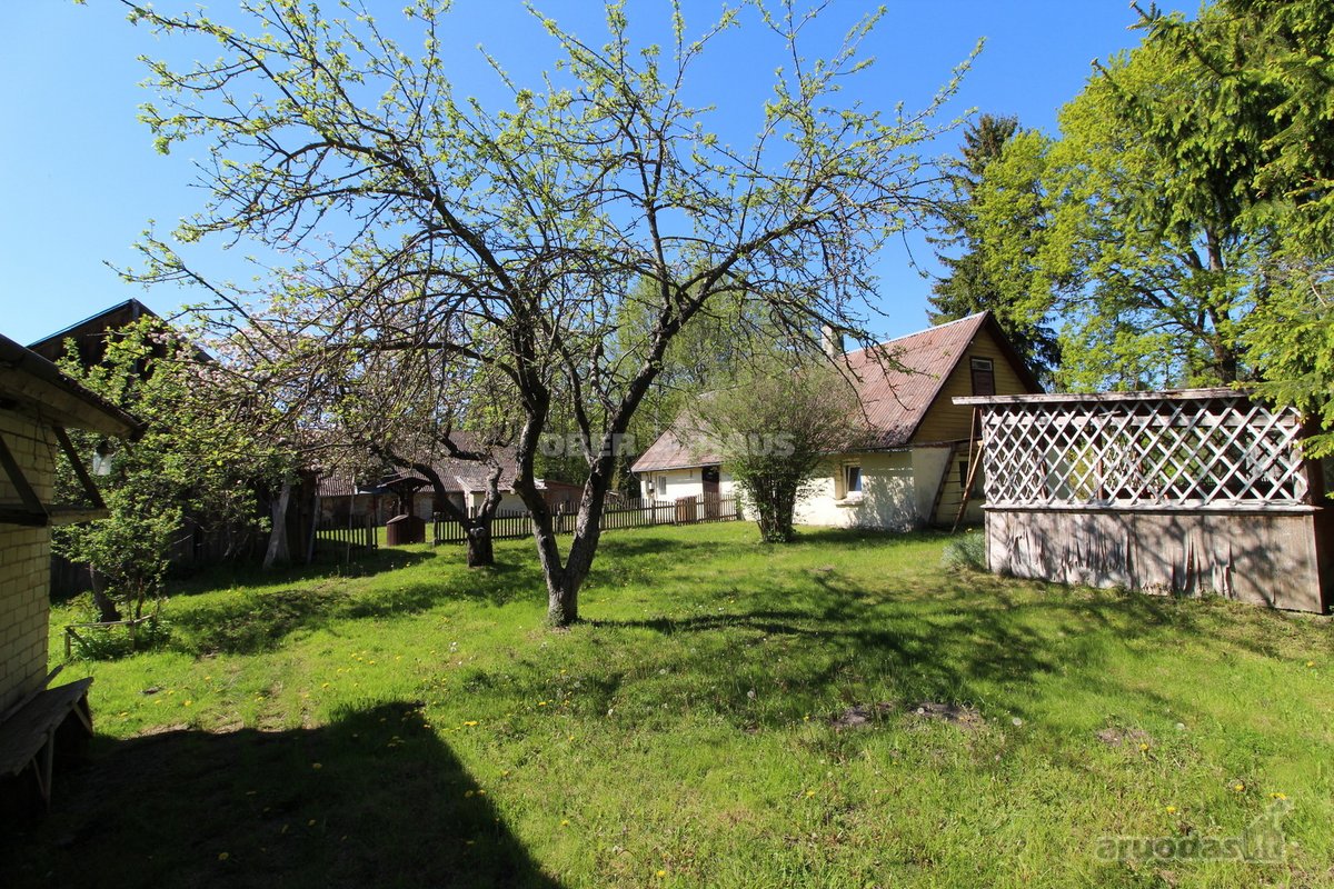 Išskirtinė Vieta Medžių Apsuptyje, 450 m Iki - nuotraukos Nr. 12