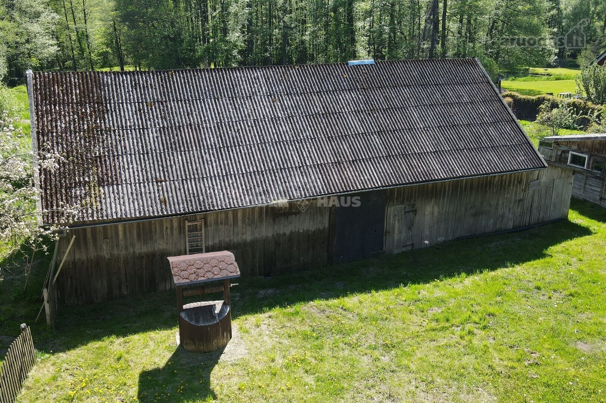 Išskirtinė Vieta Medžių Apsuptyje, 450 m Iki - nuotraukos Nr. 15
