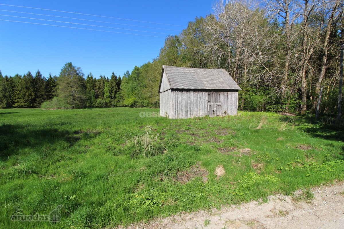 Išskirtinė Vieta Medžių Apsuptyje, 450 m Iki - nuotraukos Nr. 18