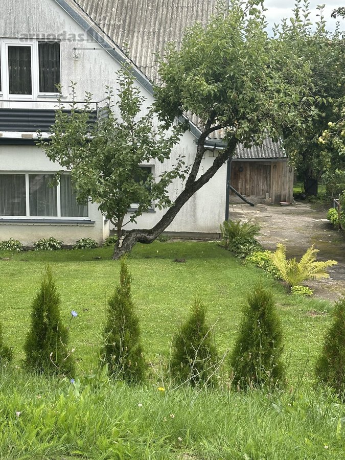 Parduodamas dviejų kambarių butas be patogumų. - nuotraukos Nr. 12