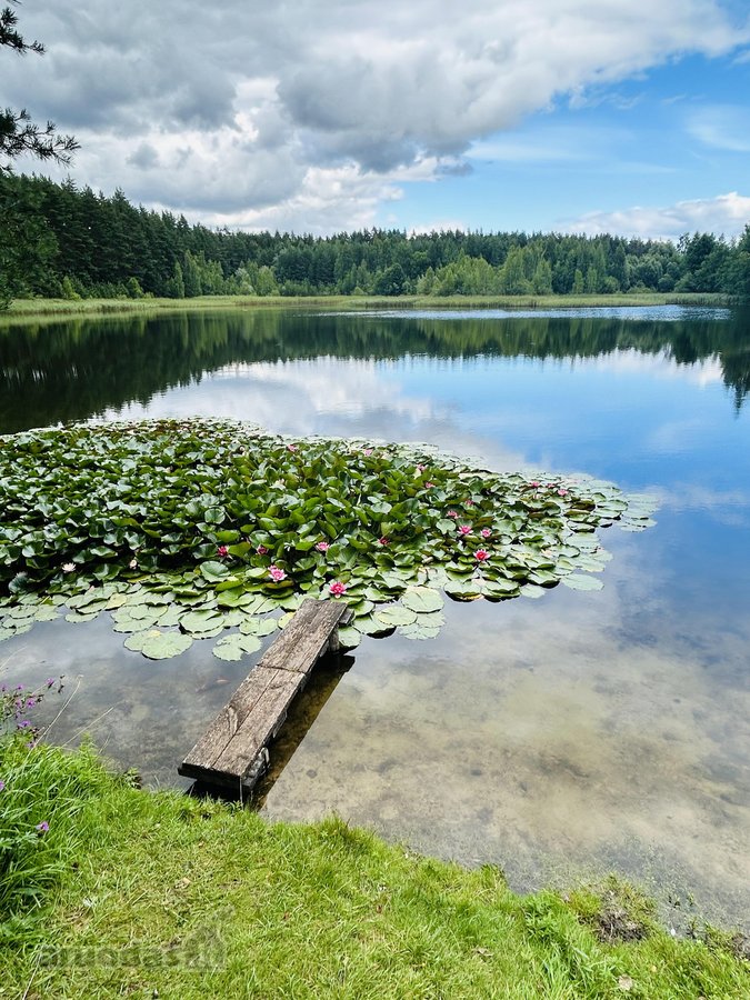 Parduodamas 6 a žemės sklypas, esantis vos 14 - nuotraukos Nr. 11