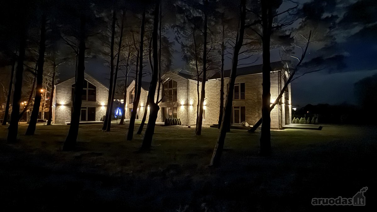 „Ošupio pušynas“ - nuotraukos Nr. 3
