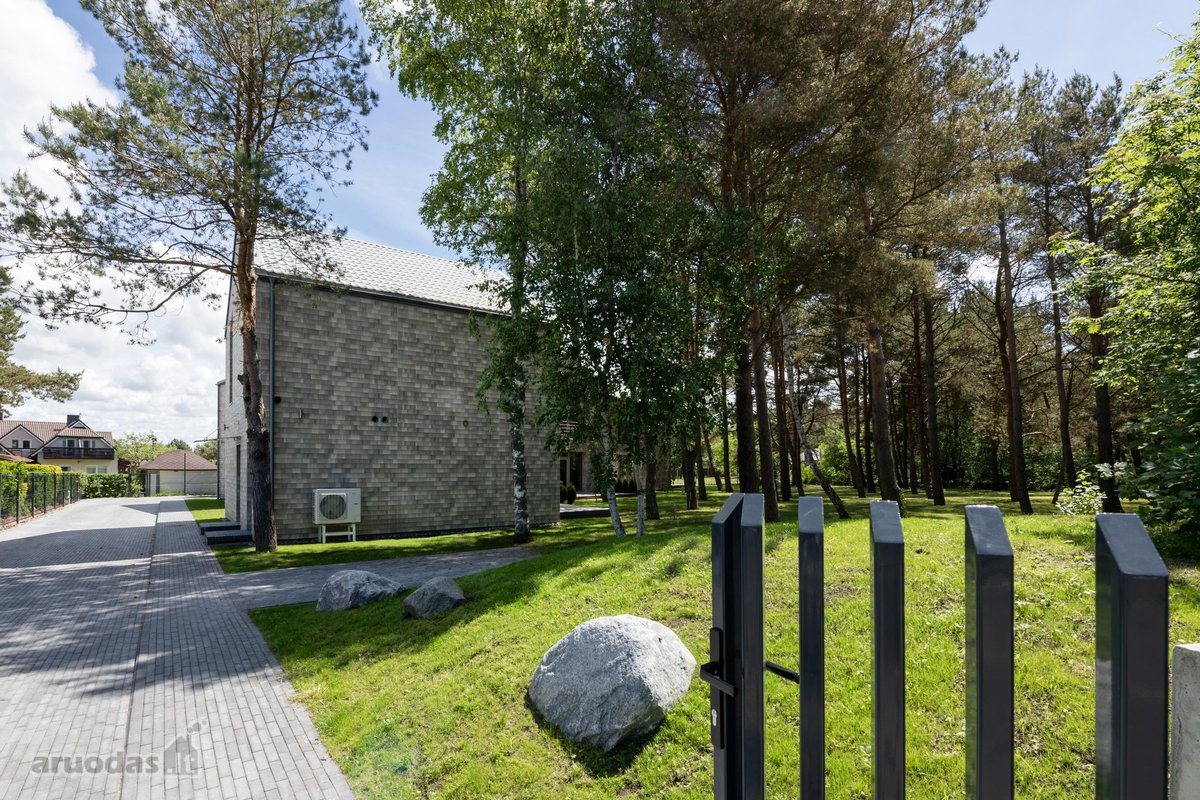 „Ošupio pušynas“ - nuotraukos Nr. 31