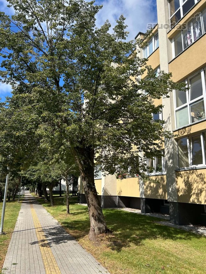 Parduodamas stilingai įrengtas 3 kambarių - nuotraukos Nr. 12