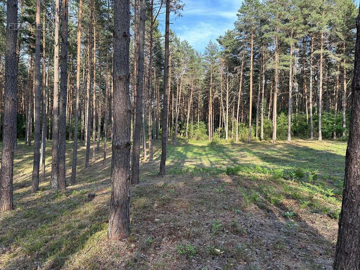 Parduodamas žemės sklypas su 56 metrais ežero - nuotraukos Nr. 7