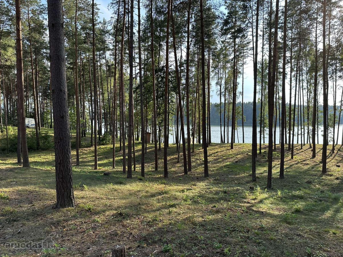Parduodamas žemės sklypas su 56 metrais ežero - nuotraukos Nr. 8
