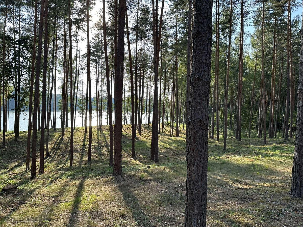 Parduodamas žemės sklypas su 56 metrais ežero - nuotraukos Nr. 9