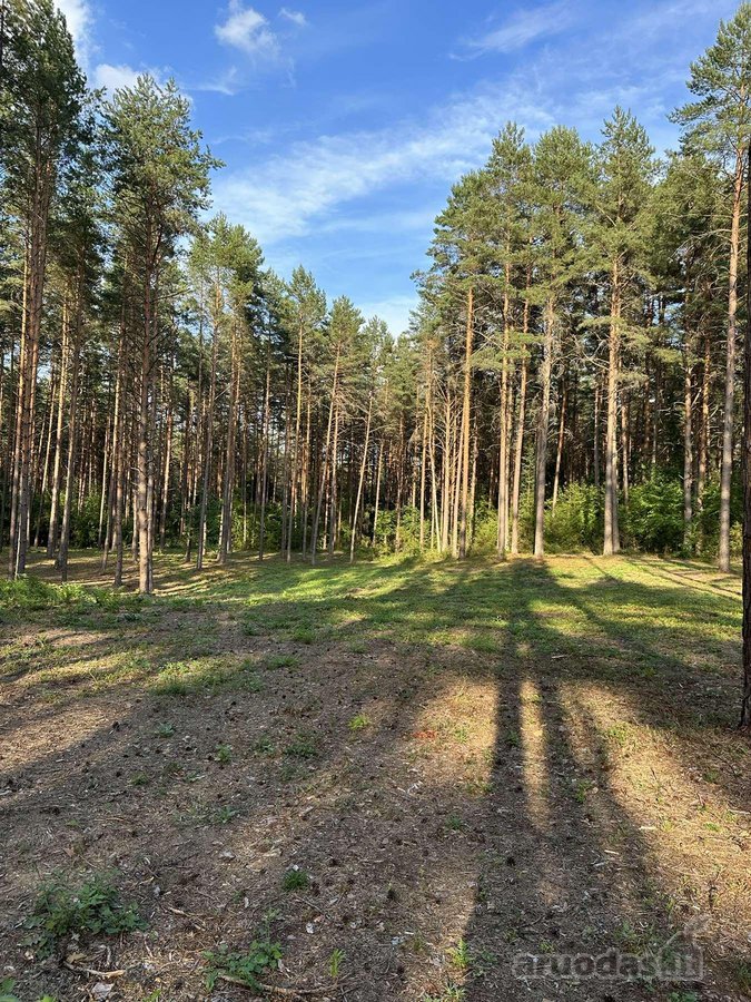 Parduodamas žemės sklypas su 56 metrais ežero - nuotraukos Nr. 10