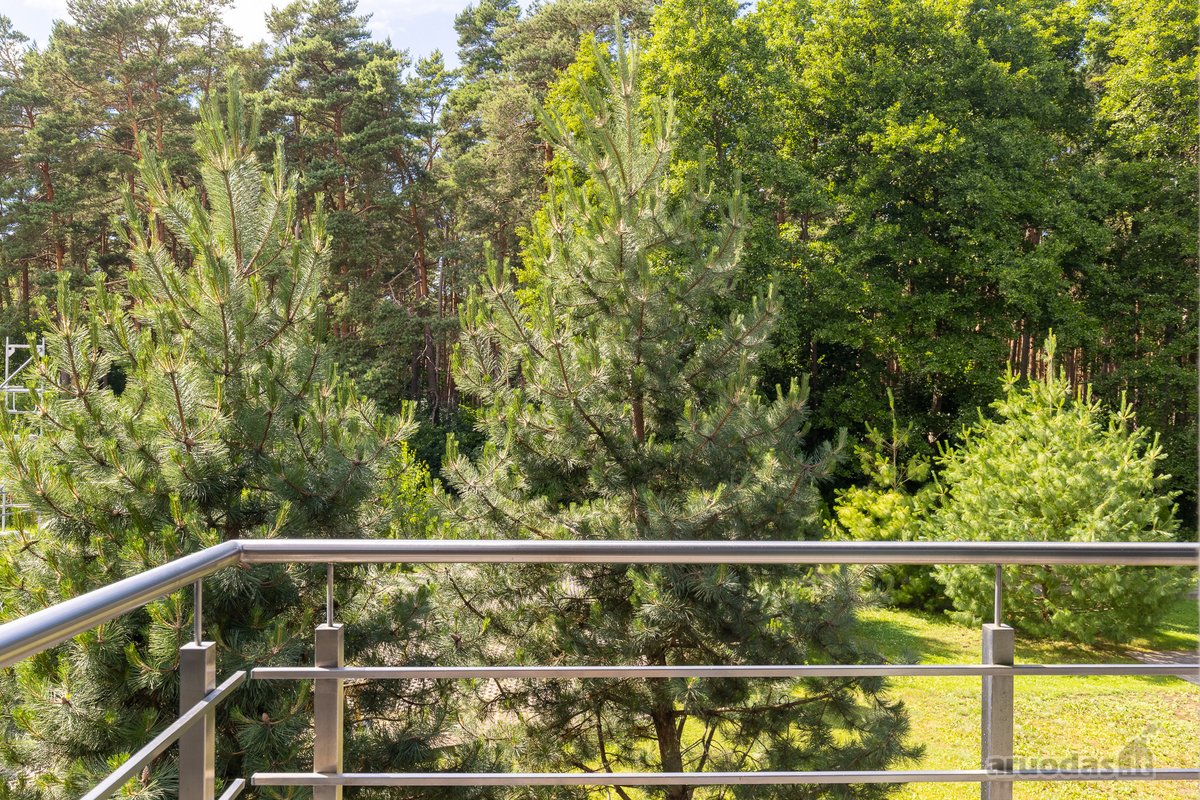Palanga-miestas, kuriame norisi ne tik - nuotraukos Nr. 33