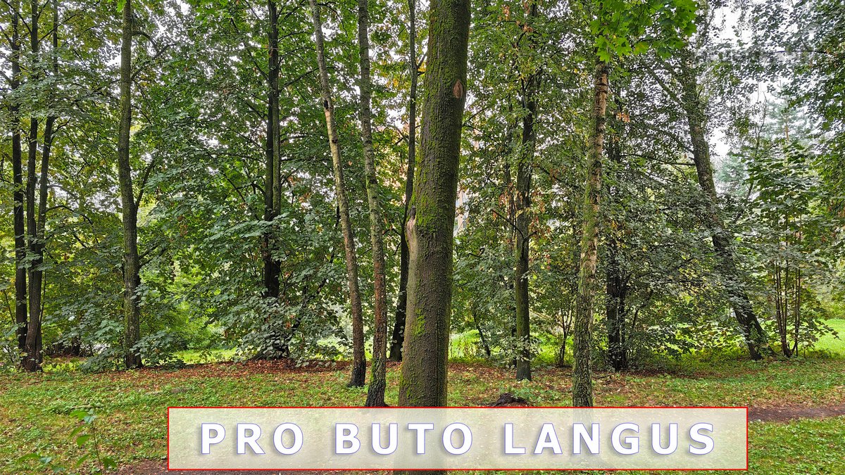  žirmūnuose pard. tvarkingas 2kb su balkonu į - nuotraukos Nr. 11