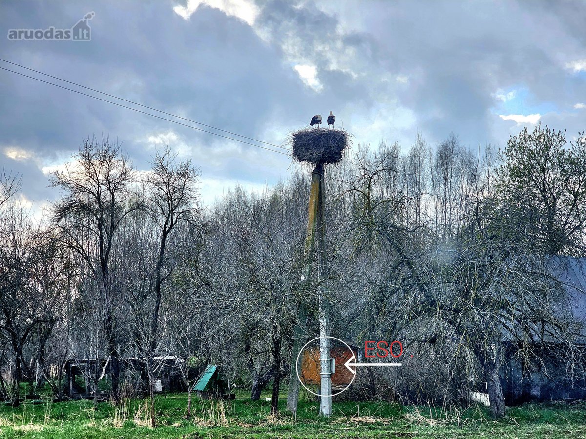 Parduodamas namų valdos žemės sklypas Grikių - nuotraukos Nr. 8
