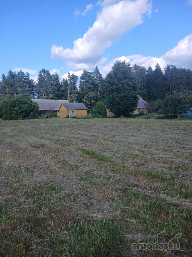Parduodamas žūp sklypas miško apsuptyje,šalia - nuotraukos Nr. 7