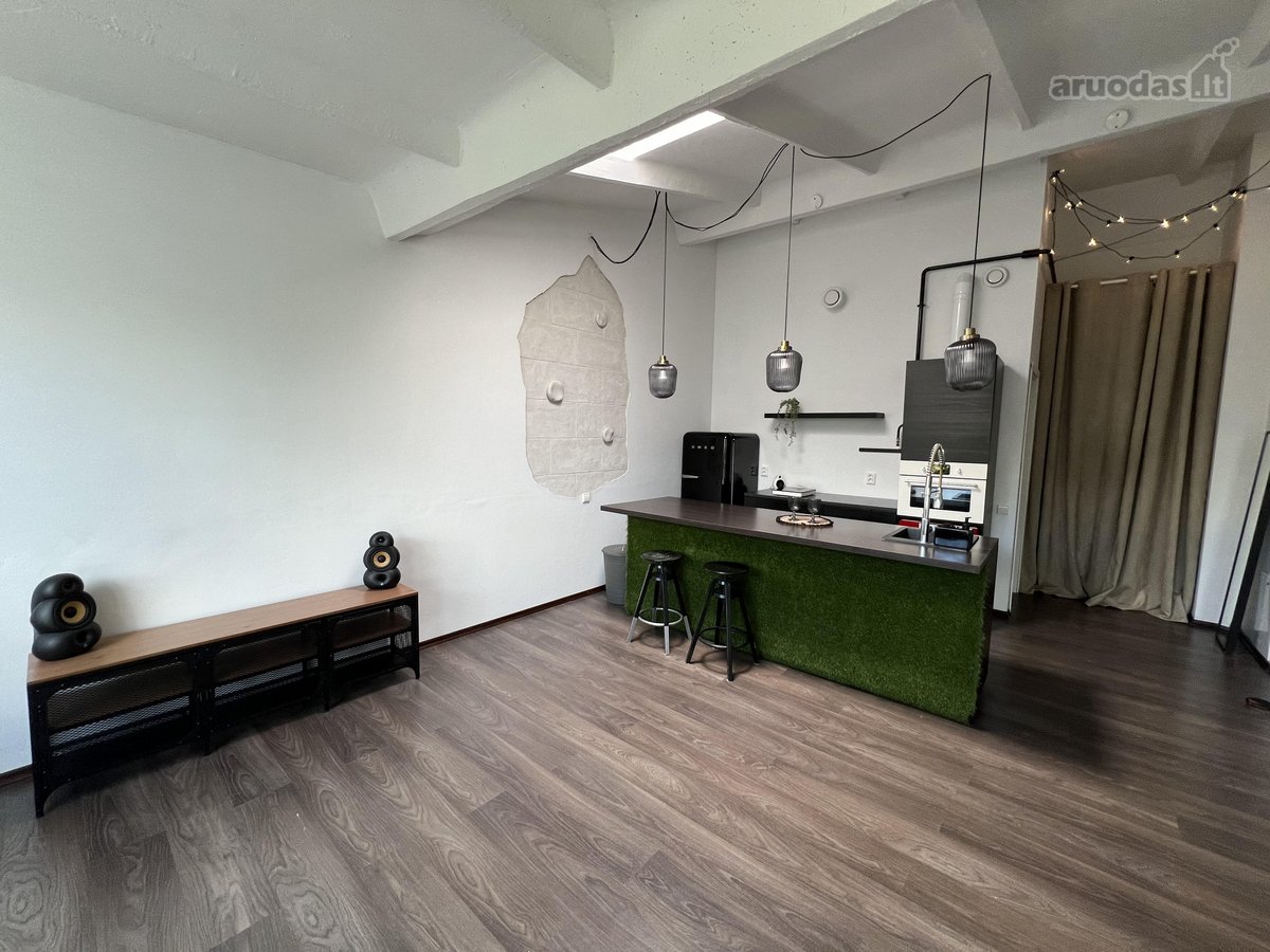 Šviesus, Unikalus 45 Kv. M Loftas „Loft Town“ - nuotraukos Nr. 4