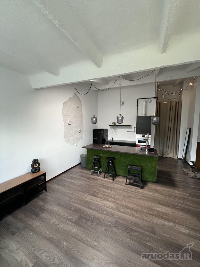 Šviesus, Unikalus 45 Kv. M Loftas „Loft Town“ - nuotraukos Nr. 26