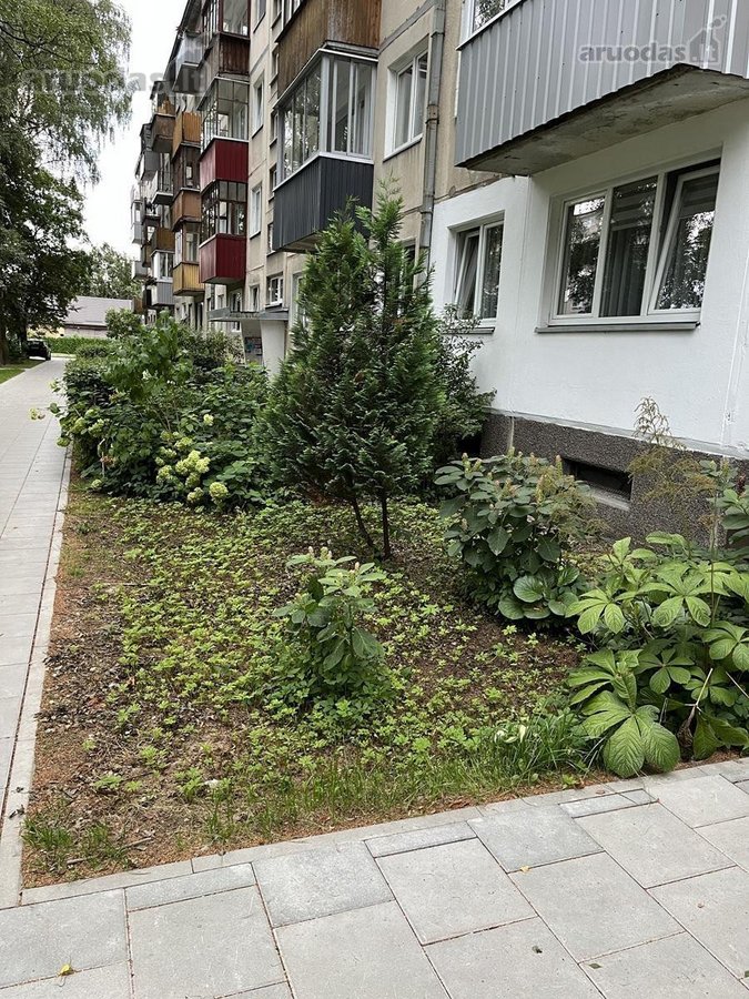Išnuomojamas jaukus 2 kambarių butas geroje - nuotraukos Nr. 14