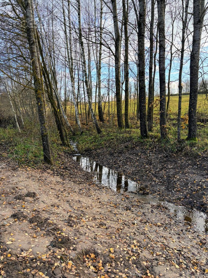 Parduodama privati sodyba su 4,5 ha žemės - nuotraukos Nr. 20