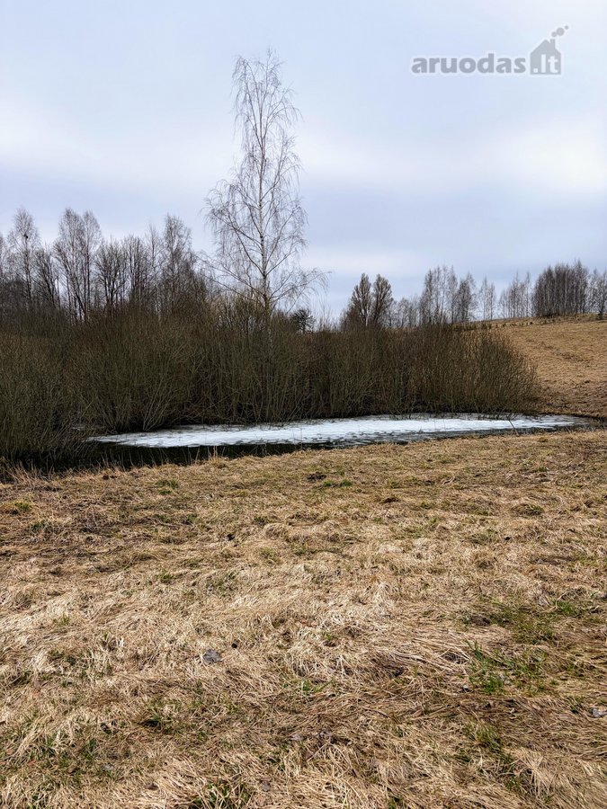 Parduodama privati sodyba su 4,5 ha žemės - nuotraukos Nr. 21