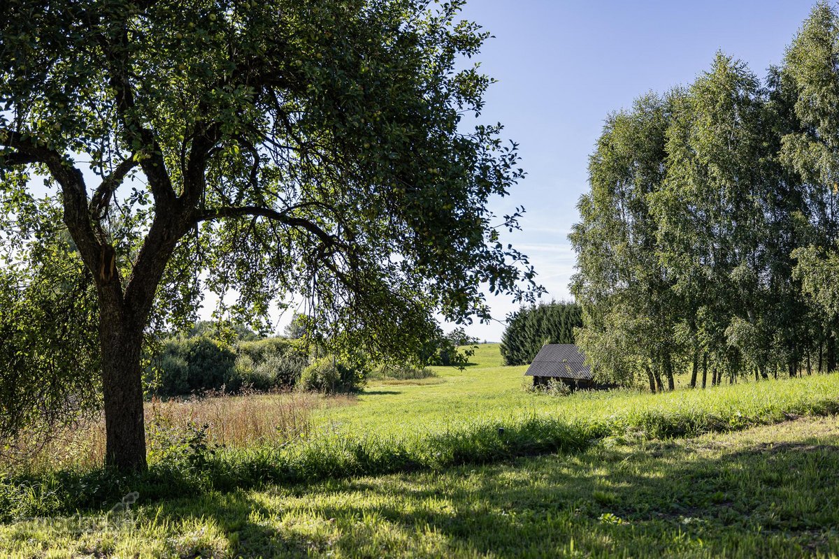 Parduodama privati sodyba su 4,5 ha žemės - nuotraukos Nr. 11