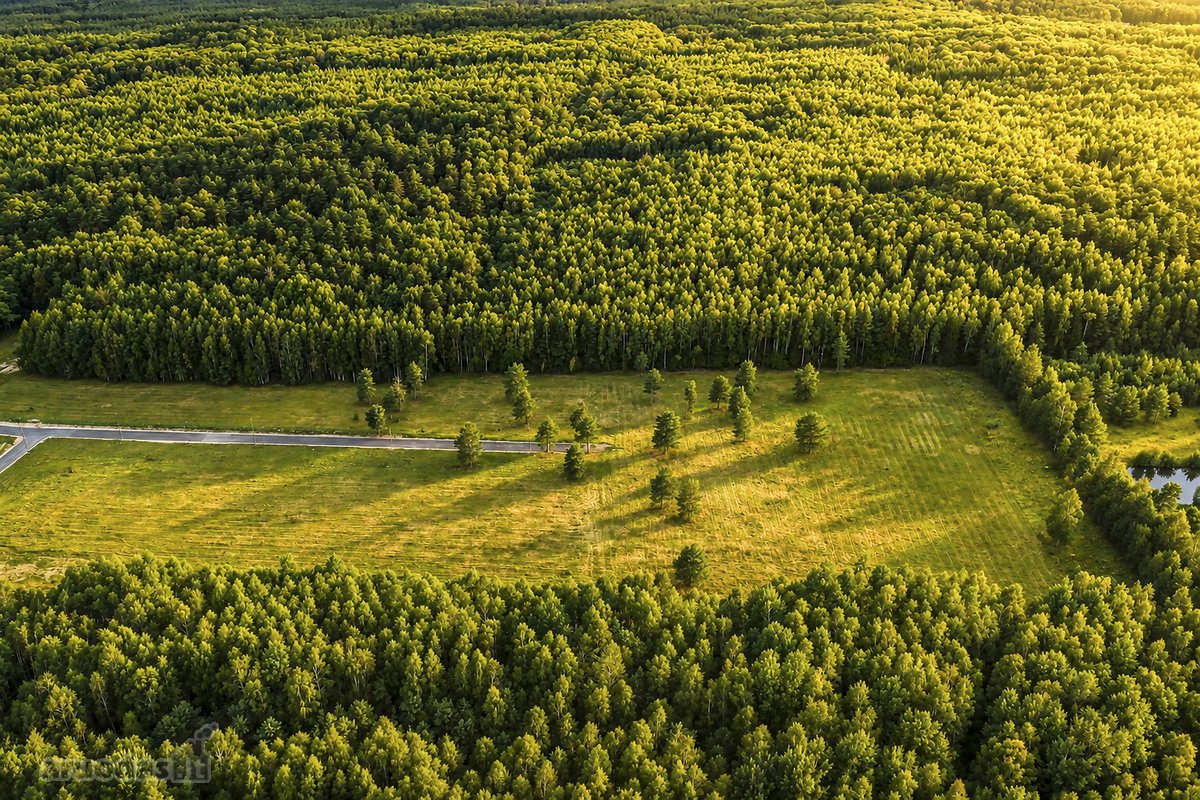 Parduodamas vienbučių ir dvibučių gyvenamųjų - nuotraukos Nr. 5