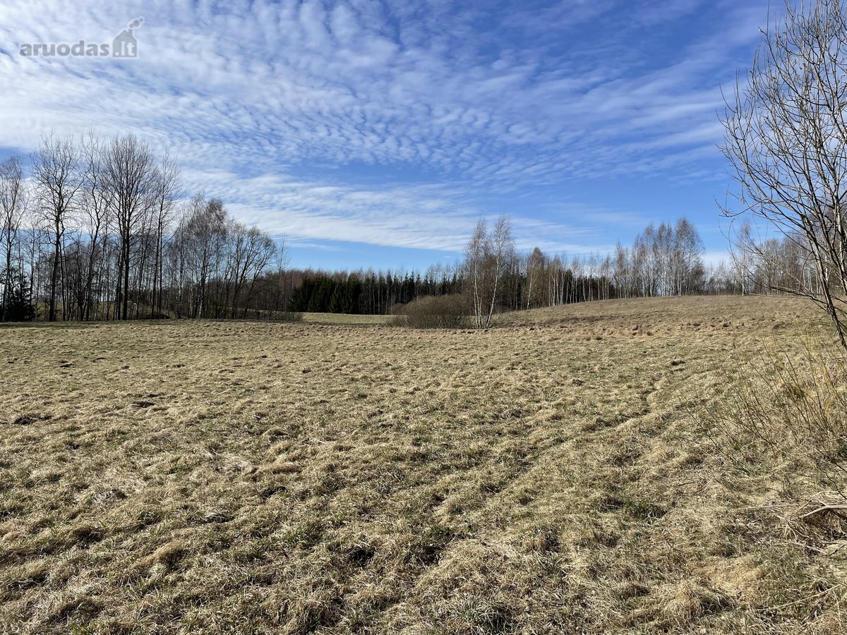 Parduodama privati sodyba su 4,5 ha žemės - nuotraukos Nr. 24