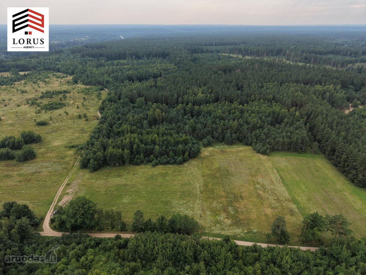Parduodamas 40 Arų Žemės Ūkio Paskirties - nuotraukos Nr. 4