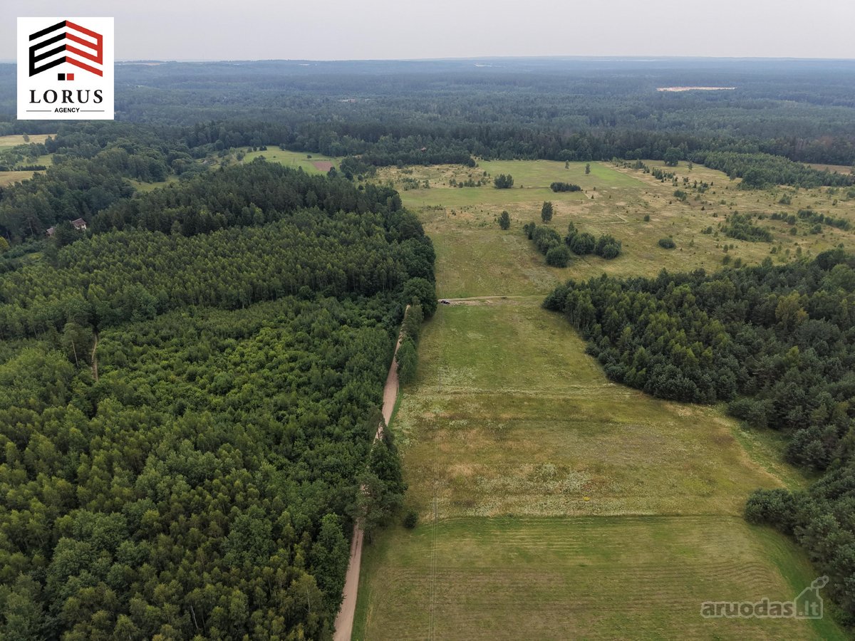 Parduodamas 40 Arų Žemės Ūkio Paskirties - nuotraukos Nr. 5