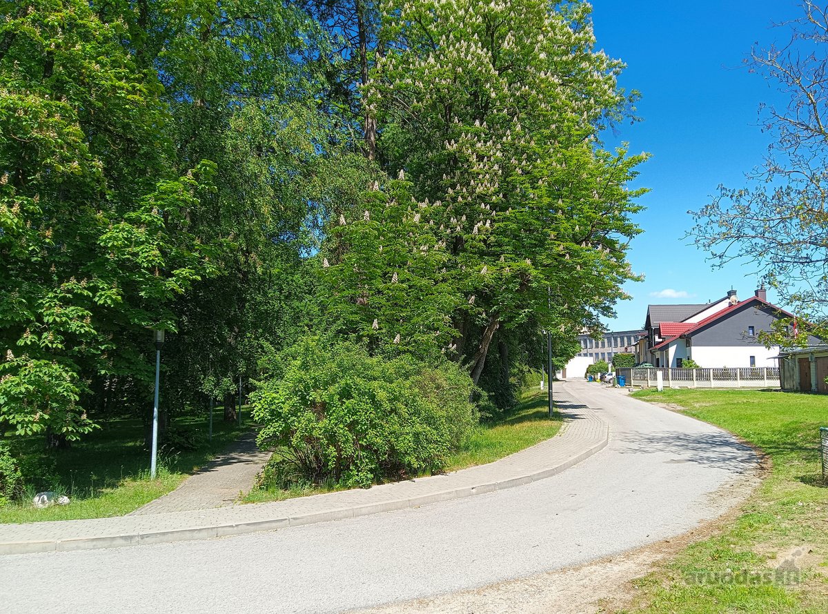 Parduodami 2 namų valdos sklypai po 6 arus - nuotraukos Nr. 15
