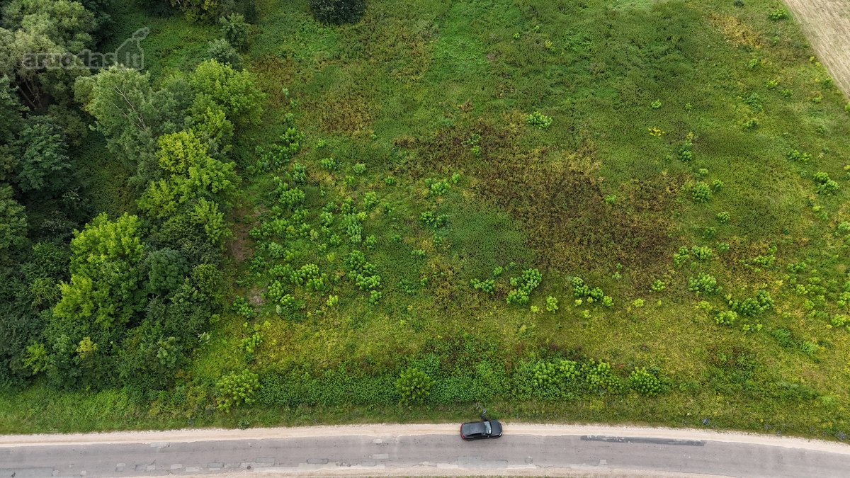 Parduodamas 1,80 ha žemės ūkio paskirties - nuotraukos Nr. 2