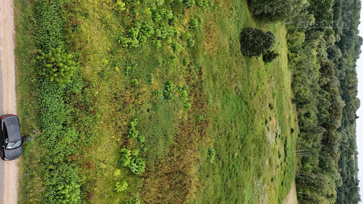 Parduodamas 1,80 ha žemės ūkio paskirties - nuotraukos Nr. 3