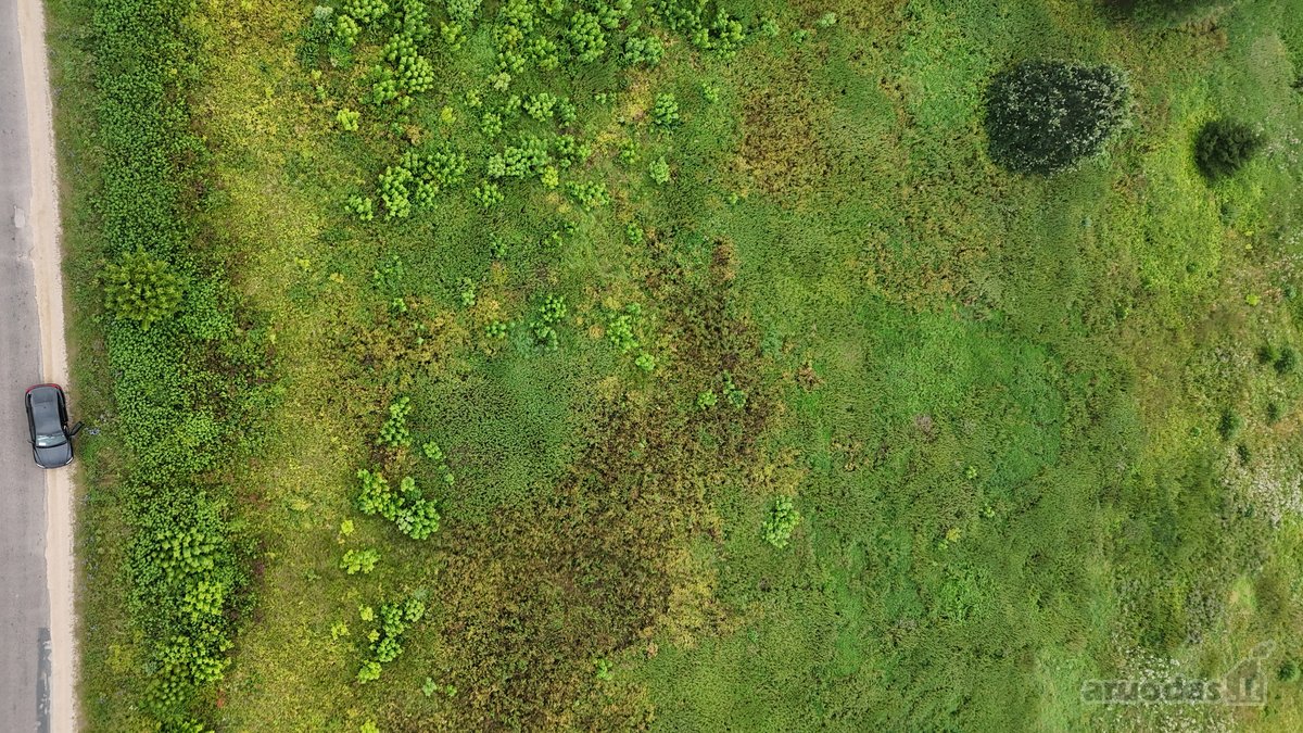 Parduodamas 1,80 ha žemės ūkio paskirties - nuotraukos Nr. 4