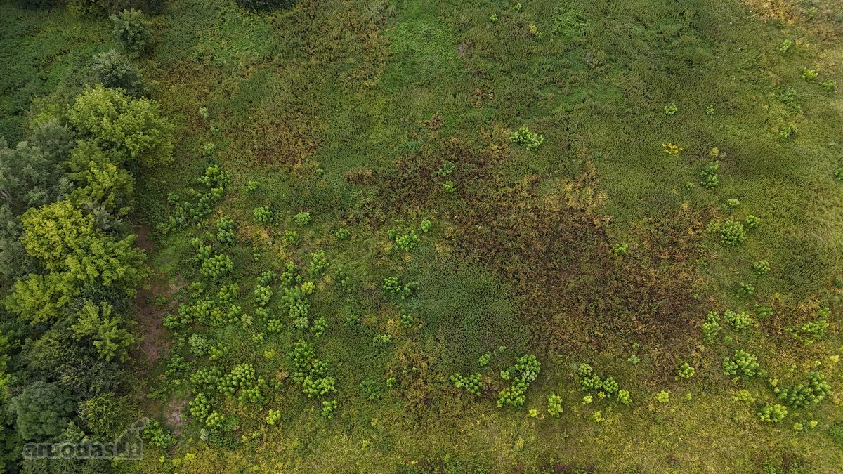 Parduodamas 1,80 ha žemės ūkio paskirties - nuotraukos Nr. 5
