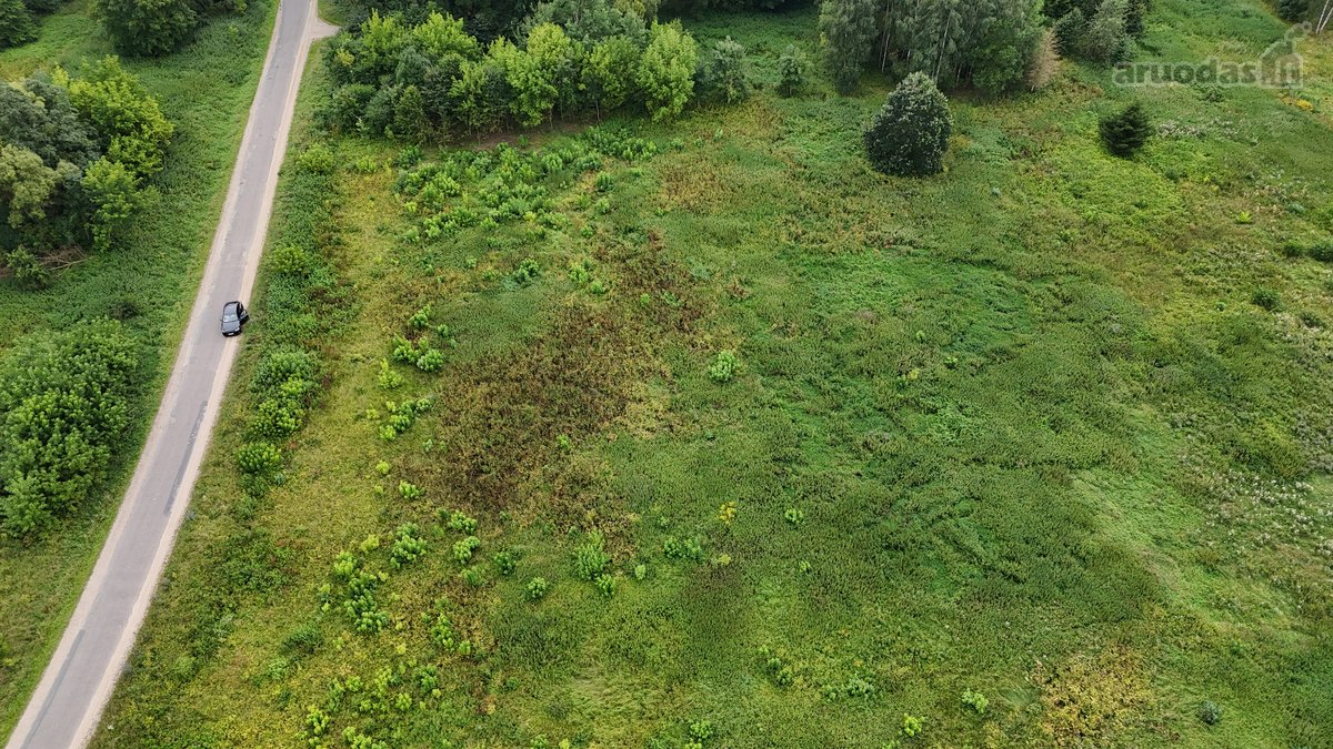 Parduodamas 1,80 ha žemės ūkio paskirties - nuotraukos Nr. 6