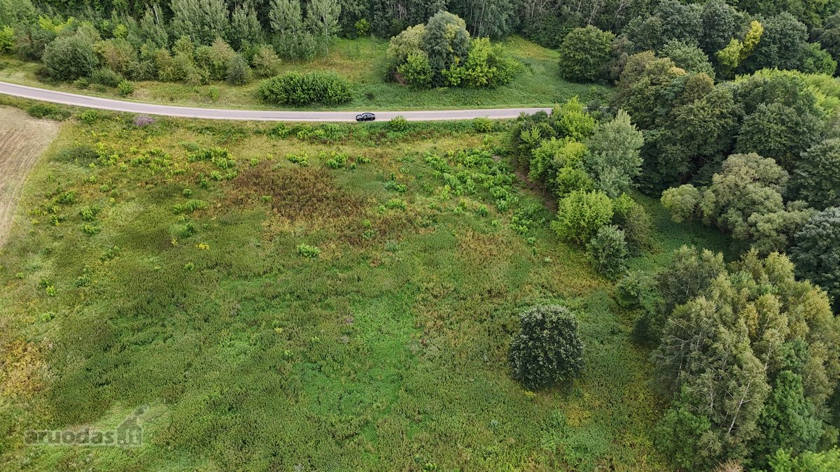 Parduodamas 1,80 ha žemės ūkio paskirties - nuotraukos Nr. 7