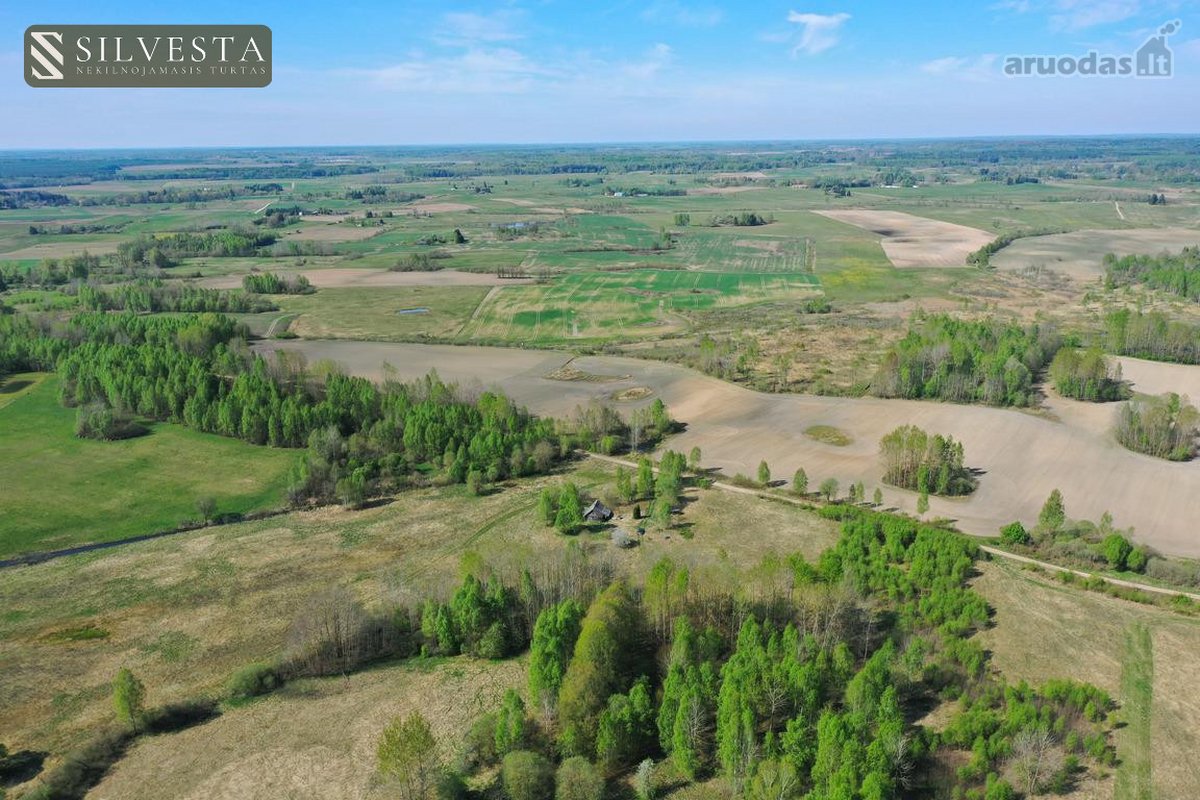Parduodamas 66,47 arų namų valdos sklypas - nuotraukos Nr. 9