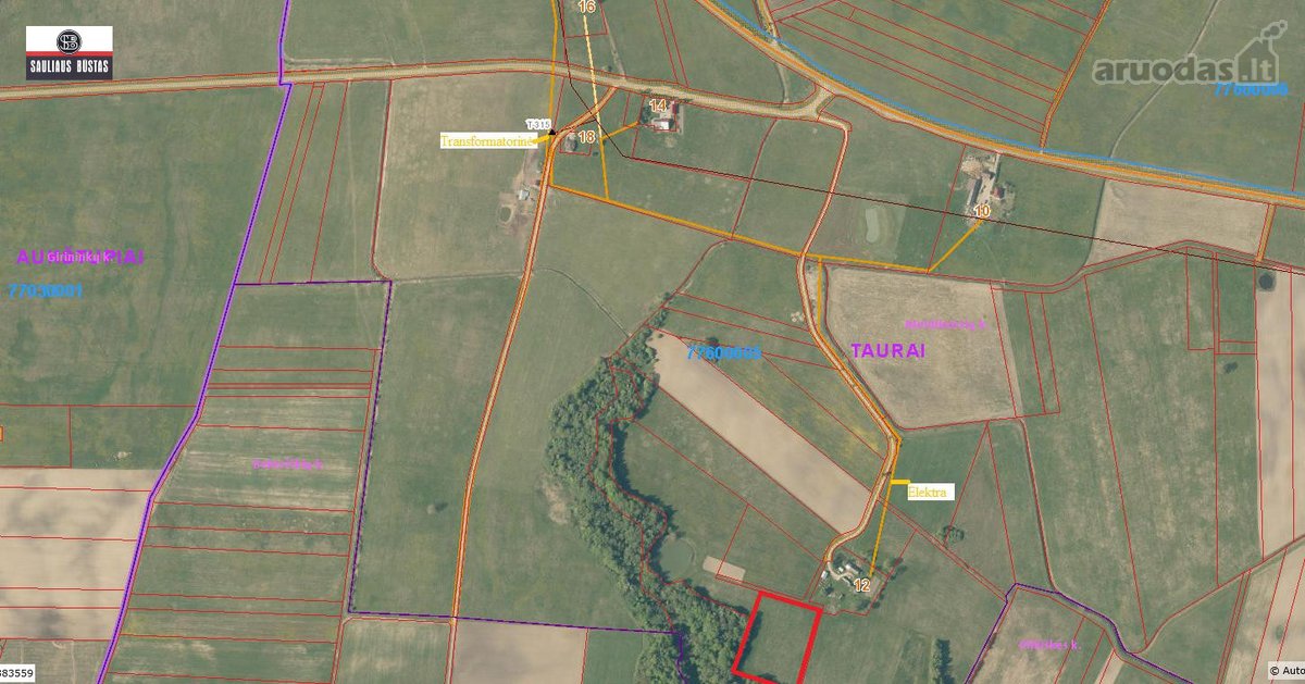 Parduodamas labai gražus 1,1000 ha žemės - nuotraukos Nr. 9