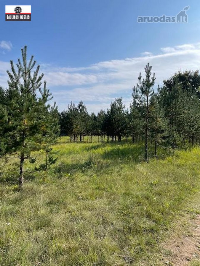 Parduodamas labai gražus žemės sklypas Utenos - nuotraukos Nr. 12