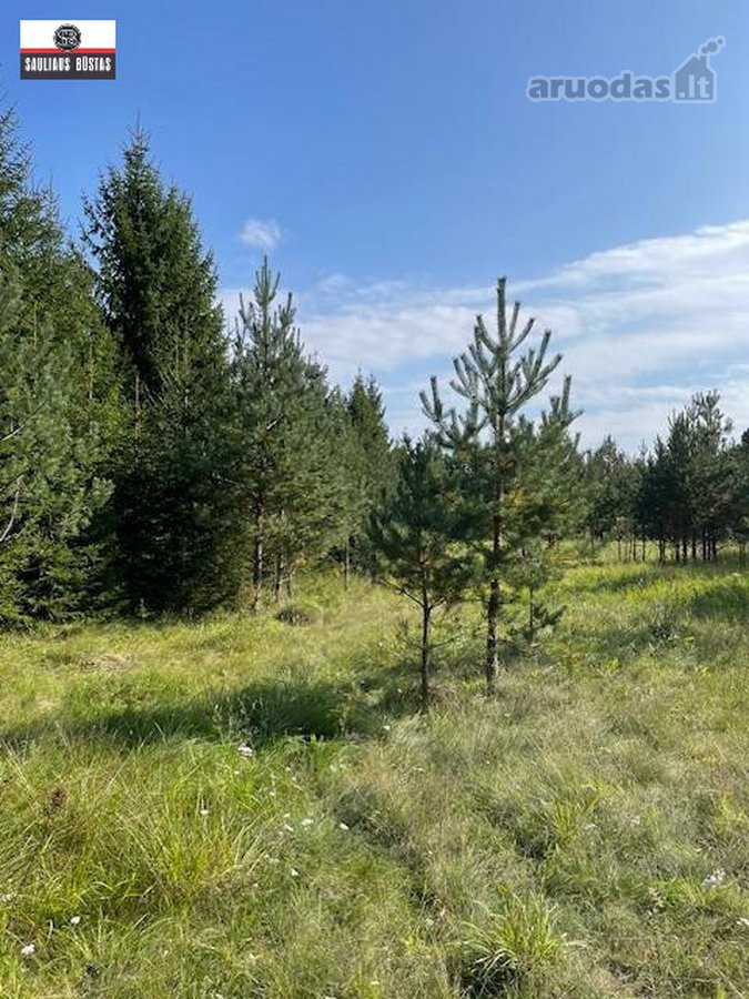 Parduodamas labai gražus žemės sklypas Utenos - nuotraukos Nr. 14
