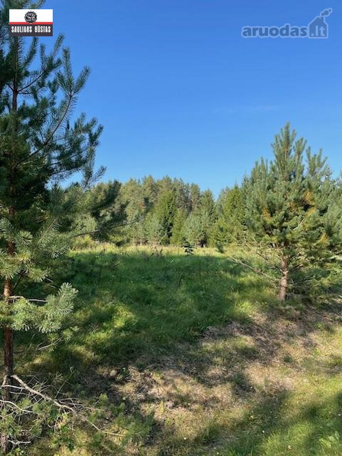 Parduodamas labai gražus žemės sklypas Utenos - nuotraukos Nr. 10