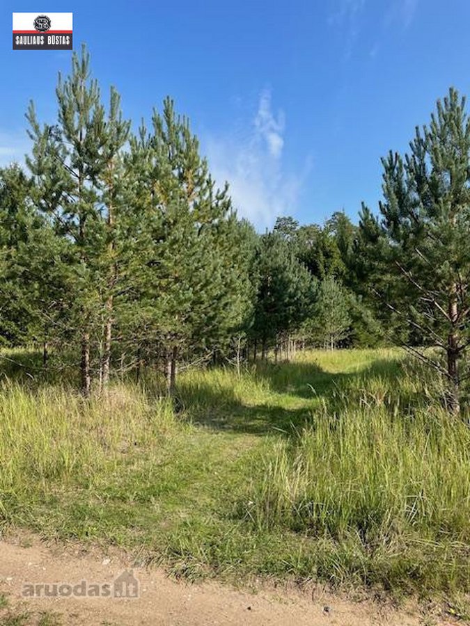 Parduodamas labai gražus žemės sklypas Utenos - nuotraukos Nr. 15