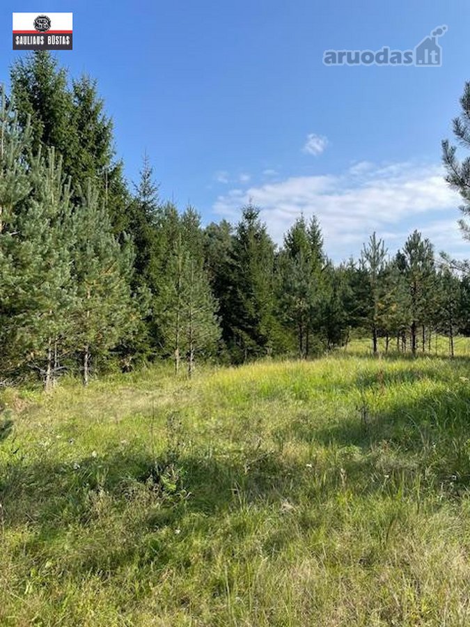 Parduodamas labai gražus žemės sklypas Utenos - nuotraukos Nr. 13