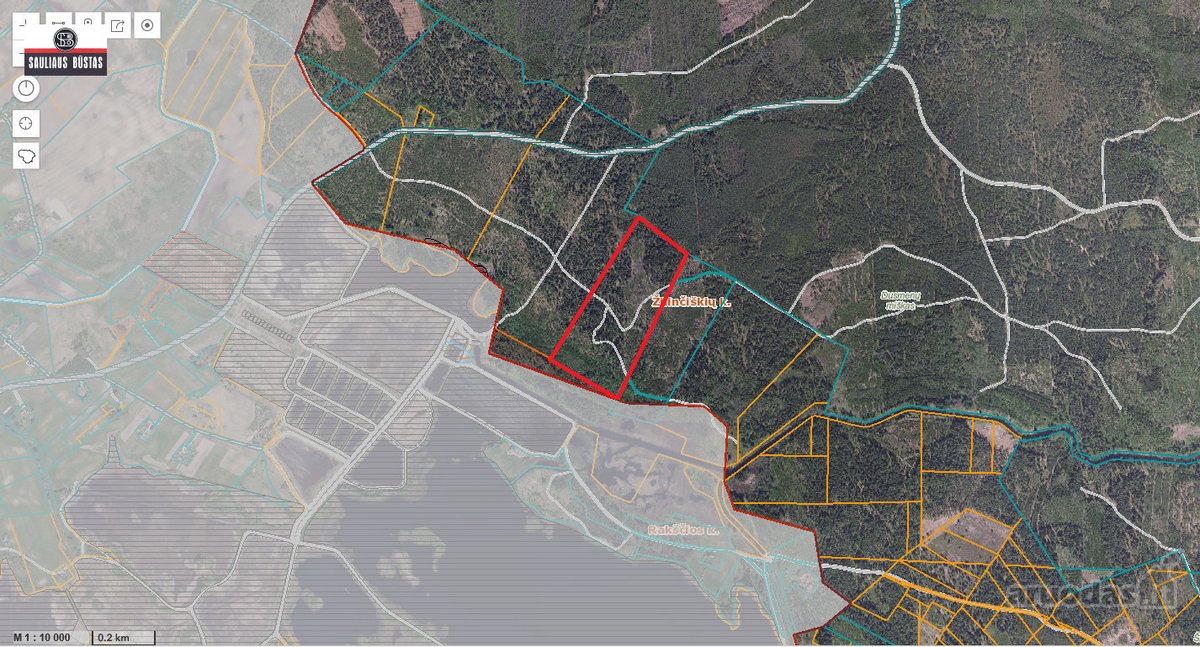 Parduodamas pigiai 11,0989 ha žemės sklypas - nuotraukos Nr. 6
