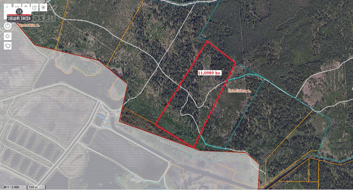Parduodamas pigiai 11,0989 ha žemės sklypas - nuotraukos Nr. 2