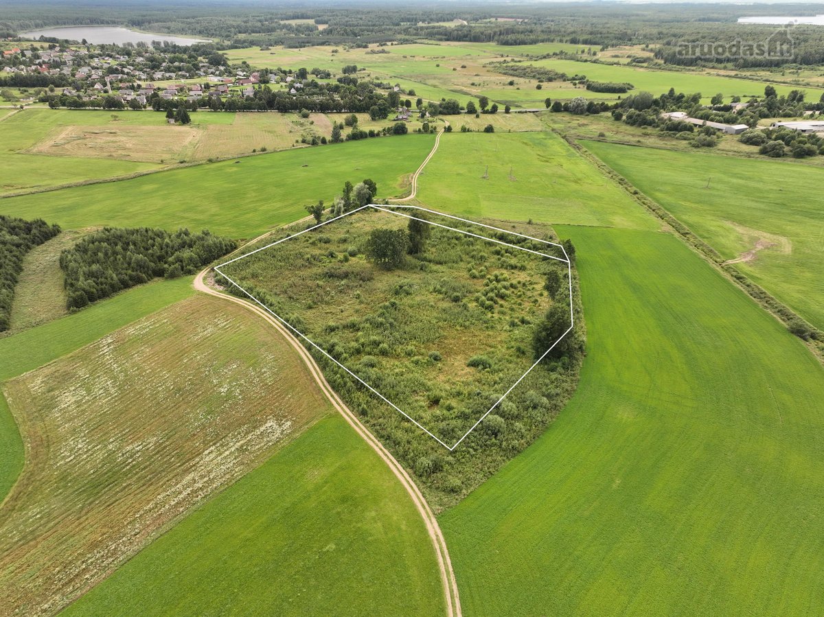 Parduodamas 2 ha namų valdos sklypas kartu su - nuotraukos Nr. 2