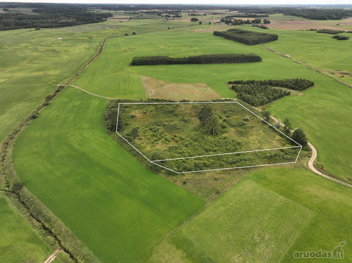 Parduodamas 2 ha namų valdos sklypas kartu su - nuotraukos Nr. 5