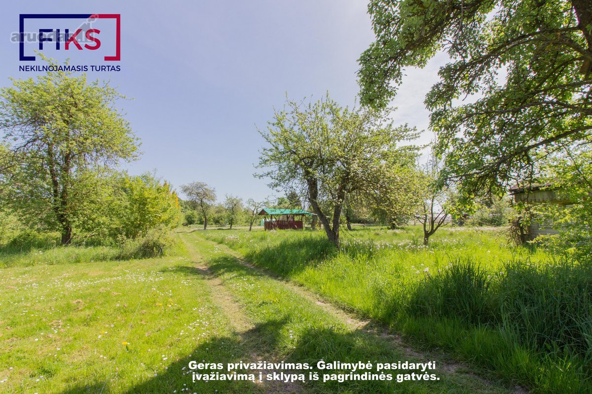 Parduodamas Sodo Sklypas Gelgaudiškyje, Slyvų - nuotraukos Nr. 3