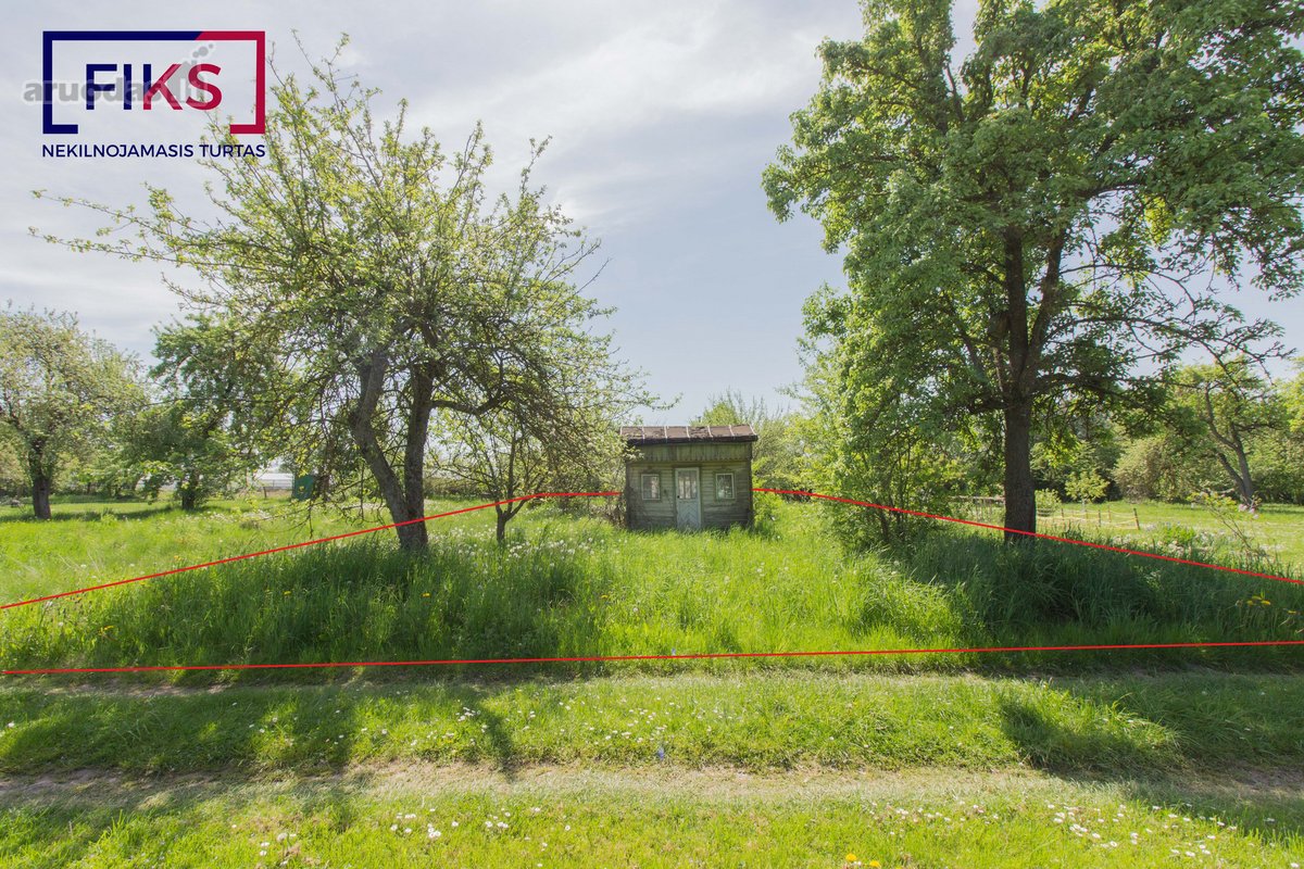 Parduodamas Sodo Sklypas Gelgaudiškyje, Slyvų - nuotraukos Nr. 4