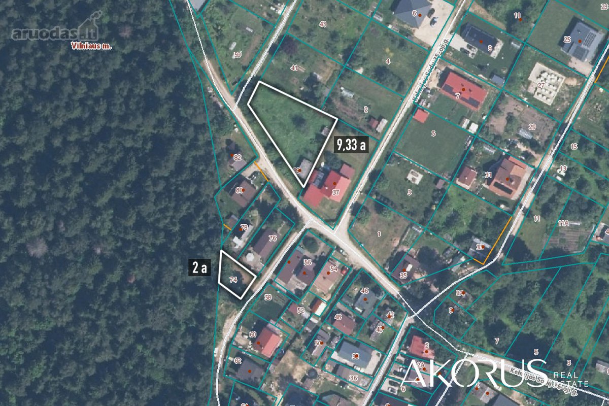Verta Žinoti - nuotraukos Nr. 6