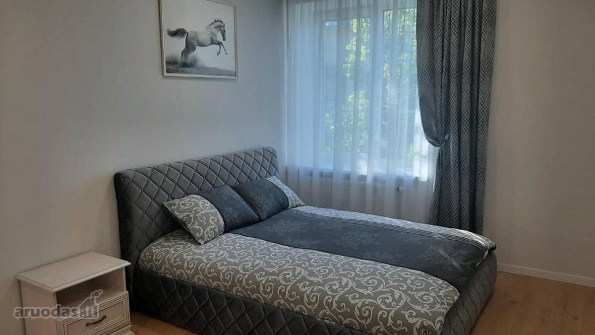 Centrinėje miesto dalyje išnuomojamas naujai - nuotraukos Nr. 8