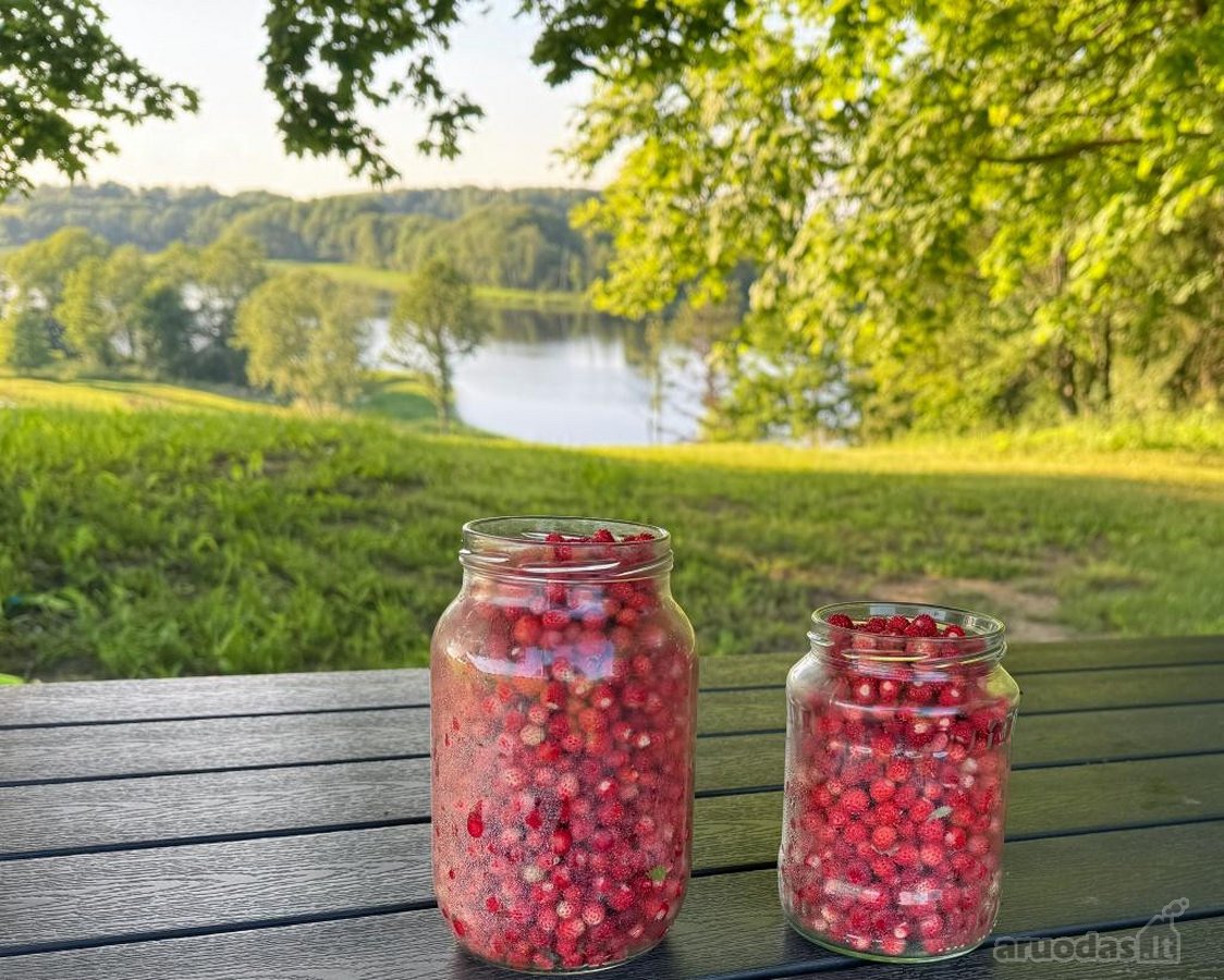 Unikalioje vietoje, unt Sartų ežero kranto, - nuotraukos Nr. 16